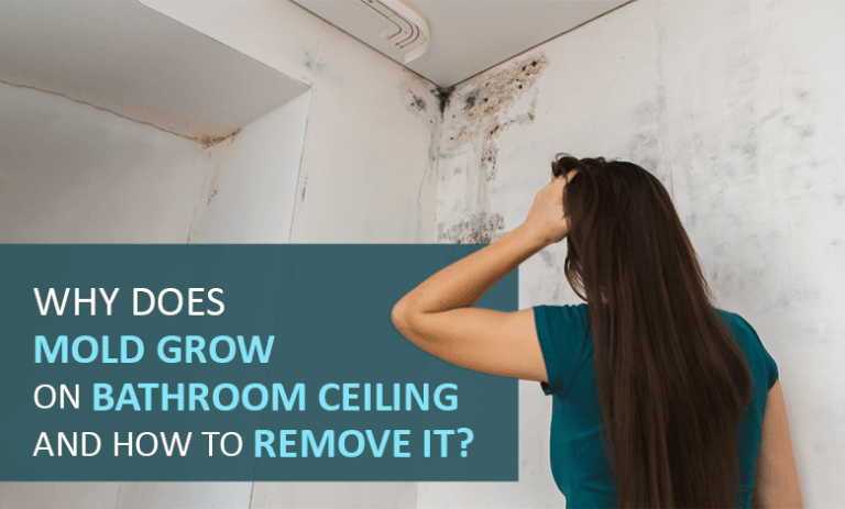 how to remove mold from bathroom ceiling