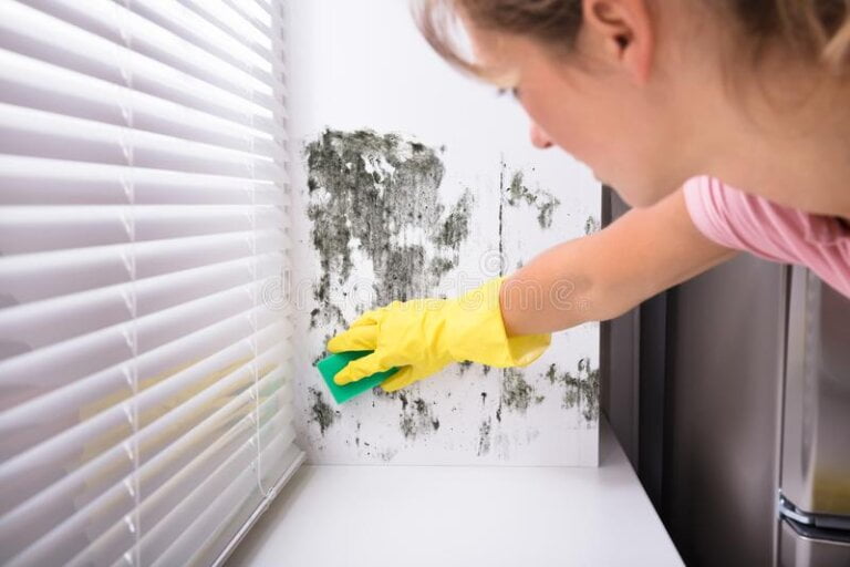 Mold Remediation